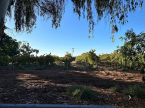 House By The Vines Waikerie